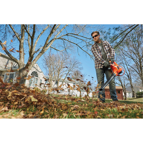 Souffleur/aspirateur/broyeur de feuilles 3-en-1 VacPack, Vitesse d'air 250 mi/h, &eacute;lectrique Rideout Tool & Machine Inc.