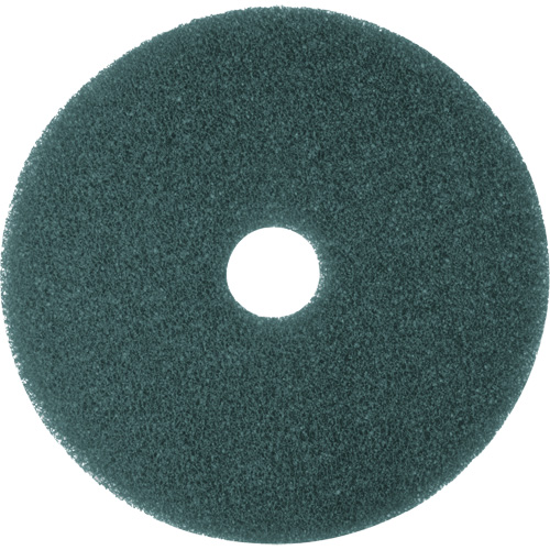 Cleaner Pad, 13", Scrubbing, Blue Rideout Tool & Machine Inc.