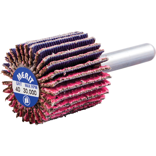 Mini-meule &agrave; lamelles mont&eacute;e sur tige, C&eacute;ramique d'alumine, Grain 40, 1" x 1" x 1/4" Rideout Tool & Machine Inc.