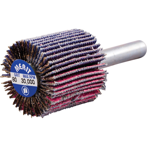 Mini-meule &agrave; lamelles mont&eacute;e sur tige, C&eacute;ramique d'alumine, Grain 80, 1" x 1" x 1/4" Rideout Tool & Machine Inc.