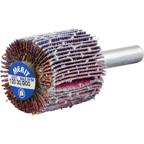 Shank Mounted Mini Flap Wheel, Ceramic Alumina, 120 Grit, 1" x 1" x 1/4" Rideout Tool & Machine Inc.