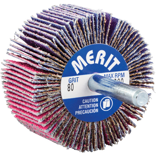 Mini-meule &agrave; lamelles mont&eacute;e sur tige, C&eacute;ramique d'alumine, Grain 80, 2" x 1" x 1/4" Rideout Tool & Machine Inc.