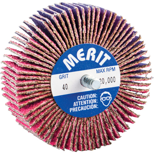 Threaded Mini Flap Wheel, Ceramic Alumina, 40 Grit, 3" x 1" x 1/4"-20 Rideout Tool & Machine Inc.