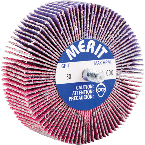 Threaded Mini Flap Wheel, Ceramic Alumina, 60 Grit, 3" x 1" x 1/4"-20 Rideout Tool & Machine Inc.