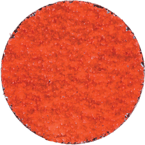 Blaze R980P Quick-Change Cloth Disc, 2" Dia., 36 Grit, Ceramic Alumina Rideout Tool & Machine Inc.