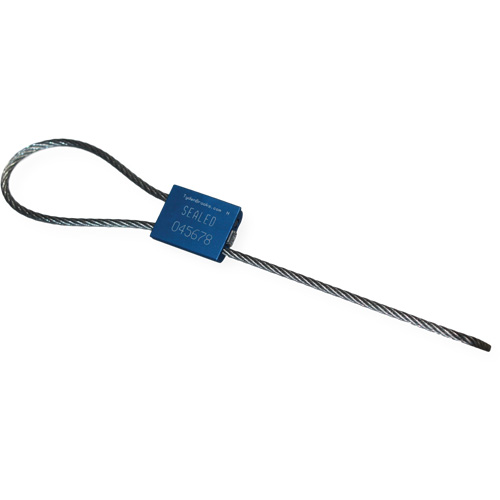 Scell&eacute; de s&eacute;curit&eacute; &agrave; c&acirc;ble Flexsecure FS35, 12", M&eacute;tal, Scell&eacute; &agrave; c&acirc;ble Rideout Tool & Machine Inc.