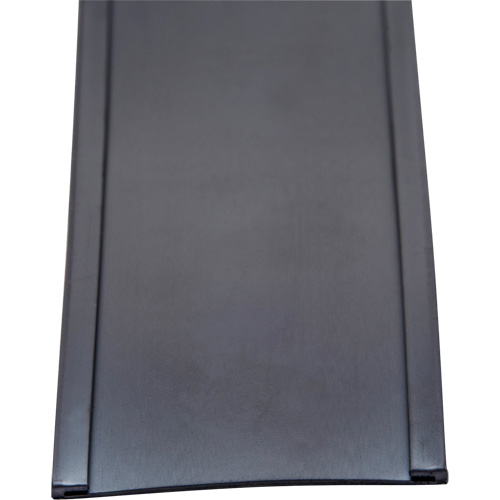 Card Holder, Magnetic, 600" L x 2" W Rideout Tool & Machine Inc.