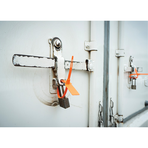 Scell&eacute; de s&eacute;curit&eacute;, 7-3/4", Plastique, Scell&eacute; pour camion Rideout Tool & Machine Inc.