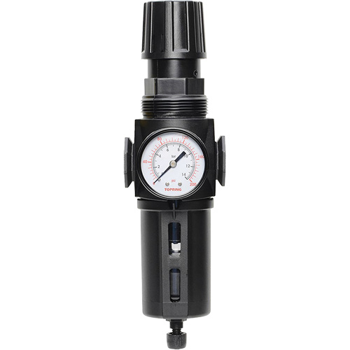 Filtre/r&eacute;gulateur drain manuel avec bol standard Modulair 300, 1/4" NPT, 150 psi, Capacit&eacute; de 5,1 oz liq. Rideout Tool & Machine Inc.