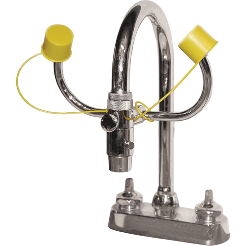 Eyewash Station, Sink Mount Installation Rideout Tool & Machine Inc.