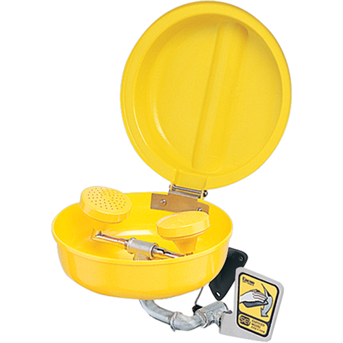 Douche oculaire/faciale avec couvercle, Installation Socle, Bol Plastique Rideout Tool & Machine Inc.