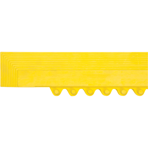 Rampe de bordure pour tapis Rideout Tool & Machine Inc.
