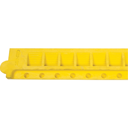 Rampe de bordure pour tapis Rideout Tool & Machine Inc.