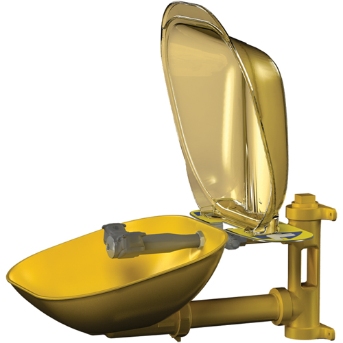 Halo Eyewash Stations, Wall-Mount Installation, Plastic Bowl Rideout Tool & Machine Inc.
