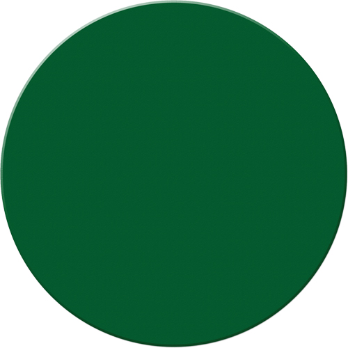 Armor Stripe Lean/5S Markers, Circle, 6" L x 6" W, Green, Plastic Rideout Tool & Machine Inc.