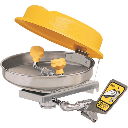 Eyewash Station, Wall-Mount Installation, Stainless Steel Bowl Rideout Tool & Machine Inc.