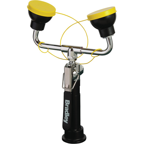 Face/Eyewash Hose Spray with Dual Sprayheads, Counter-Mount Installation Rideout Tool & Machine Inc.