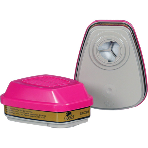 Cartouche, Combinaison cartouche et filtre contre les particules pour gaz/vapeurs, Gaz multiples/Vapeurs/P100 Rideout Tool & Machine Inc.