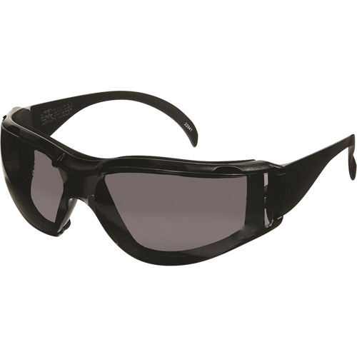 CeeTec DX Safety Glasses, Grey Lens, Anti-Fog/Anti-Scratch, Meets/Exceeds CSA Z94.3 Rideout Tool & Machine Inc.