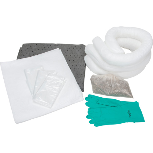 Premium Spill Kit, Oil Only/Universal, Bag, 10 US gal. Absorbancy Rideout Tool & Machine Inc.