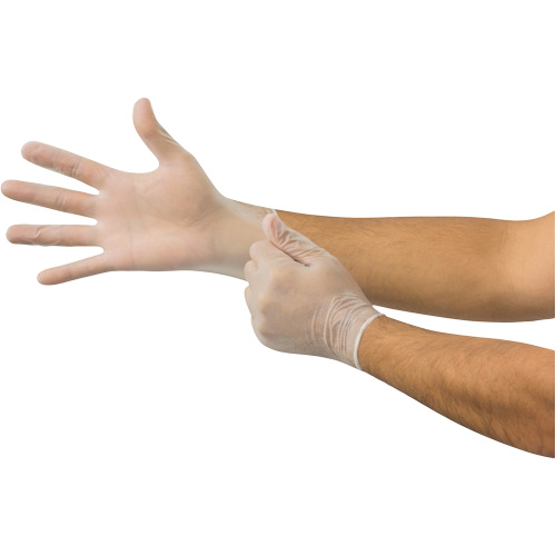 MicroFlex&reg; Disposable Gloves, Medium, Vinyl, 2.8-mil, Powder-Free, Clear Rideout Tool & Machine Inc.