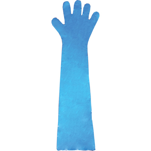 Disposable Gloves, Polyethylene, Powder-Free, Blue Rideout Tool & Machine Inc.