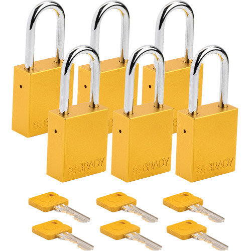 Cadenas de s&eacute;curit&eacute;, Cadenas de s&eacute;curit&eacute;, Cl&eacute;s identiques, Aluminium, Largeur de 1-1/2" Rideout Tool & Machine Inc.