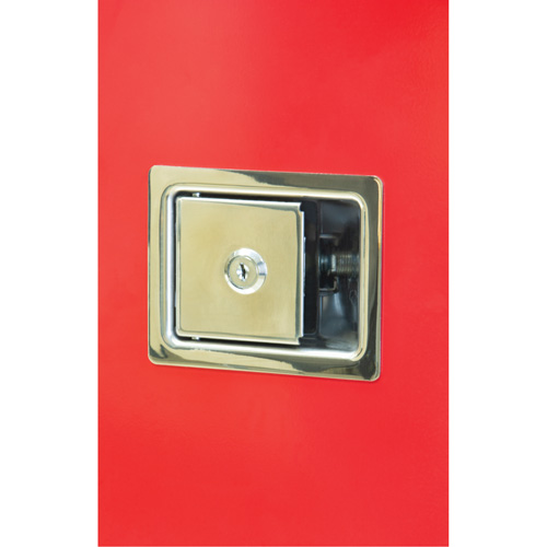 Armoires ext&eacute;rieures robustes pour extincteurs, 14" la x 28" h x 10" p Rideout Tool & Machine Inc.