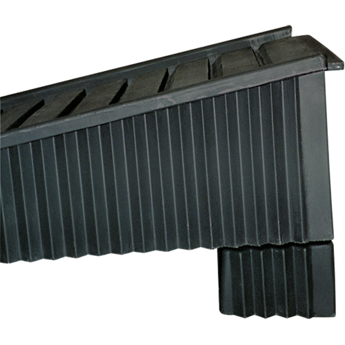Ramp Extender Rideout Tool & Machine Inc.