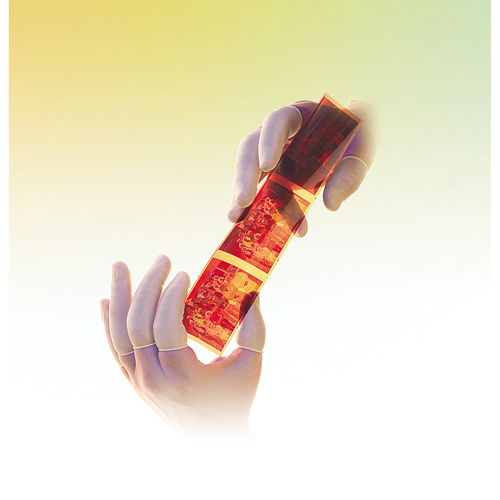 QRP&reg; Low Powder Latex Finger Cots Rideout Tool & Machine Inc.