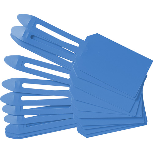 &eacute;tiquettes de cadenassage vierges en plastique, Plastique, 3-1/4" la x 5-4/5" h, Vierge Rideout Tool & Machine Inc.