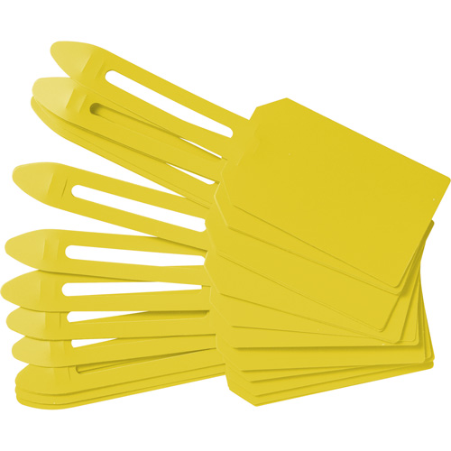 &eacute;tiquettes de cadenassage vierges en plastique, Plastique, 3-1/4" la x 5-4/5" h, Vierge Rideout Tool & Machine Inc.