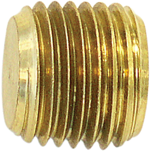 Pipe Plug (Counter Sunk Hex Head), 1/8" Dia., Brass Rideout Tool & Machine Inc.
