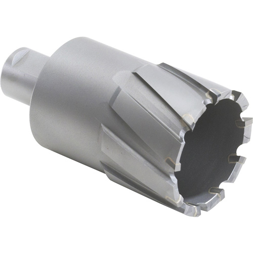 Couteau annulaire avec coupe &agrave; &acirc;me, Diam&egrave;tre de 1/2", Carbure, Profondeur de la coupe de 2", Tige 3/4" Rideout Tool & Machine Inc.