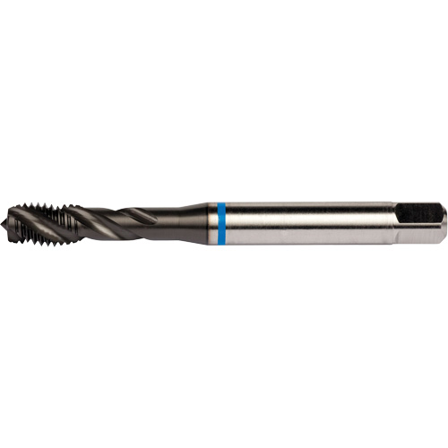 Blue Shark Spiral Flute Tap, High Speed Cobalt, 1/4"-28 Thread, 3.15" L Rideout Tool & Machine Inc.