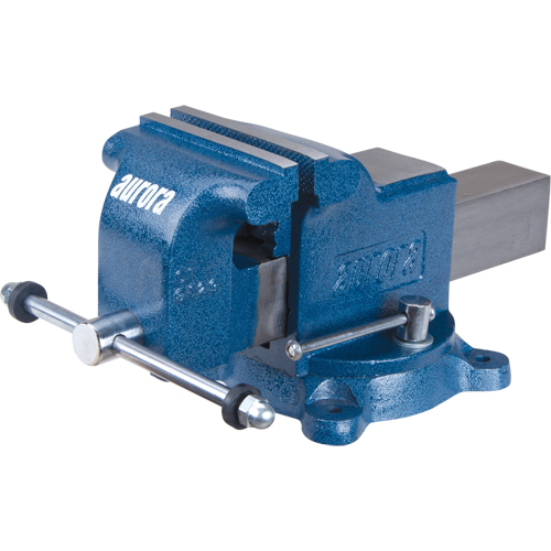 &eacute;tau d'&eacute;tabli robuste, Largeur des m&acirc;choires de 5" Rideout Tool & Machine Inc.