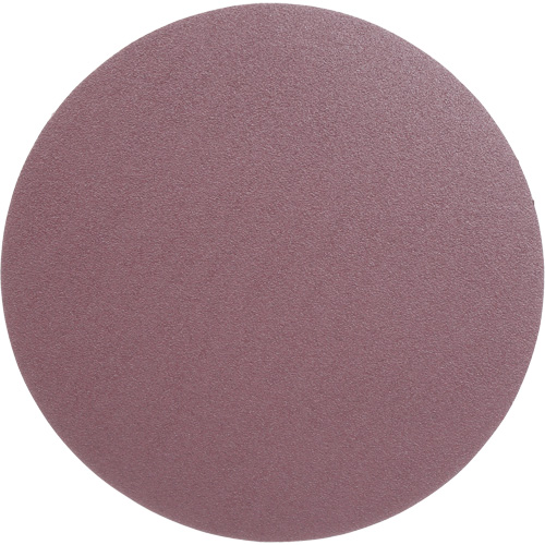 Meule en toile PSA 348D, dia 12", Grain 60, Oxyde d'aluminium, Poids Rideout Tool & Machine Inc.