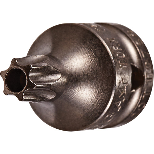 Embout &agrave; ins&eacute;rer, Torx inviolable, 8 x 3/4" lo, Prise 1/4" Rideout Tool & Machine Inc.