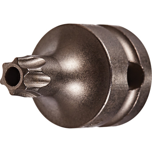Embout &agrave; ins&eacute;rer, Torx inviolable, 25 x 1" lo, Prise 3/8" Rideout Tool & Machine Inc.