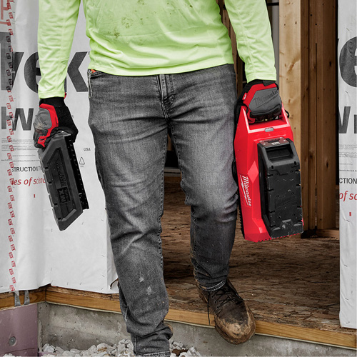 Chargeur de pile MX Fuel, 72 V, Lithium-ion Rideout Tool & Machine Inc.