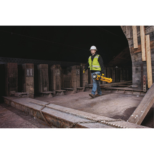 20V Max Cordless Tripod Light, LED, 3000 Lumens, Plastic Housing Rideout Tool & Machine Inc.