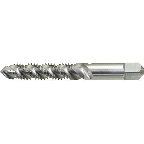 Taraud &agrave; main &agrave; cannelure spiral&eacute;e Drillco, Acier rapide, Filet 1/4"-20 Rideout Tool & Machine Inc.