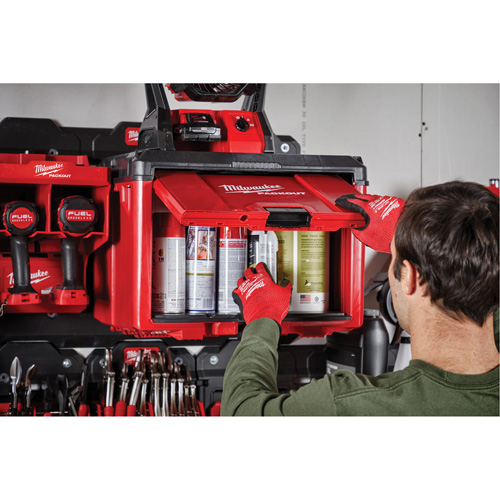 Packout Tool Cabinet, 15" x 15" x 20", Black/Red Rideout Tool & Machine Inc.
