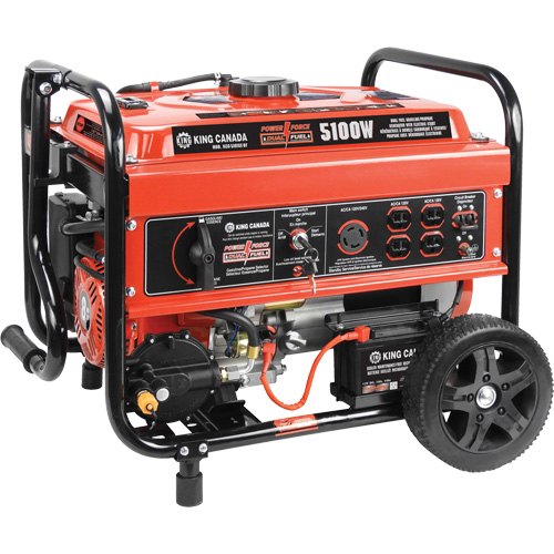 G&eacute;n&eacute;ratrice &agrave; essence/au propane &agrave; d&eacute;marreur &eacute;lectrique Rideout Tool & Machine Inc.