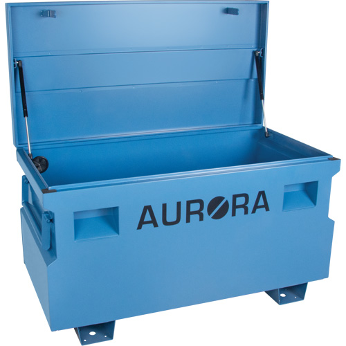 Coffre &agrave; outils de chantier, 48" x 24" x 27-3/5", Acier, Bleu Rideout Tool & Machine Inc.