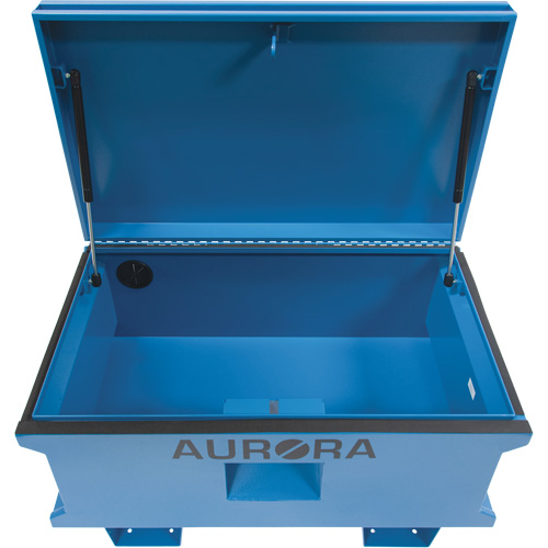 Coffre &agrave; outils de chantier, 33" x 20-3/10" x 18-3/10", Acier, Bleu Rideout Tool & Machine Inc.