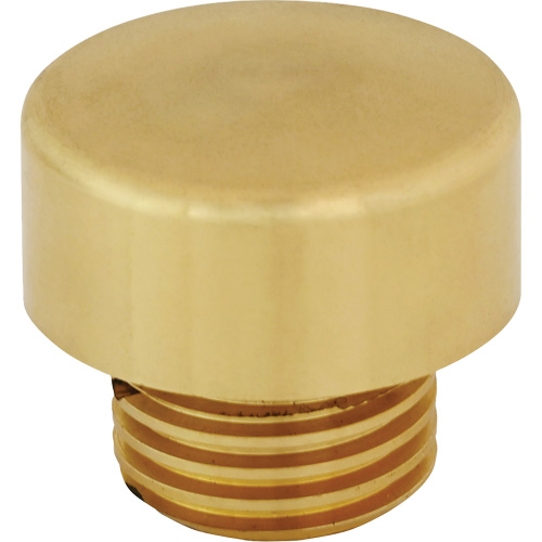 Replacment Hammer Tip for Dead Blow Hammer Rideout Tool & Machine Inc.