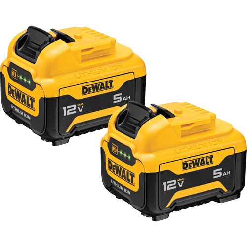 Bloc-piles Max*, Lithium-ion, 12 V, 5 Ah Rideout Tool & Machine Inc.