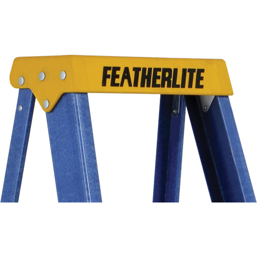 Escabeaux industriels (s&eacute;rie 6300), 4', Fibre de verre, Capacit&eacute; 250 lb, Type 1 Rideout Tool & Machine Inc.