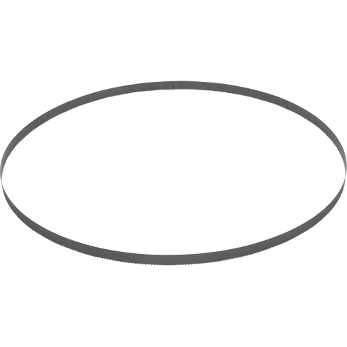 Band Saw Blade, Bi-Metal, 44-7/8" L x 1/2" W x 0.020" Thick, 14 TPI Rideout Tool & Machine Inc.